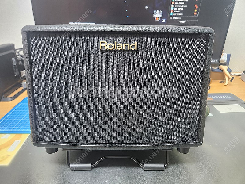 롤랜드 Roland AC-33 앰프 스피커--0