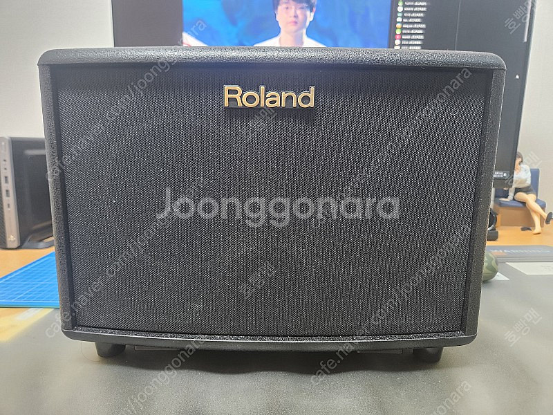 롤랜드 Roland AC-33 앰프 스피커--4