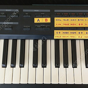 ROLAND A-33 케트론 SD2 모듈장착.