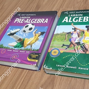 holt common core larson algebra geometry