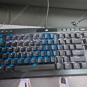 커세어 k70 rgb pro tkl 은축
