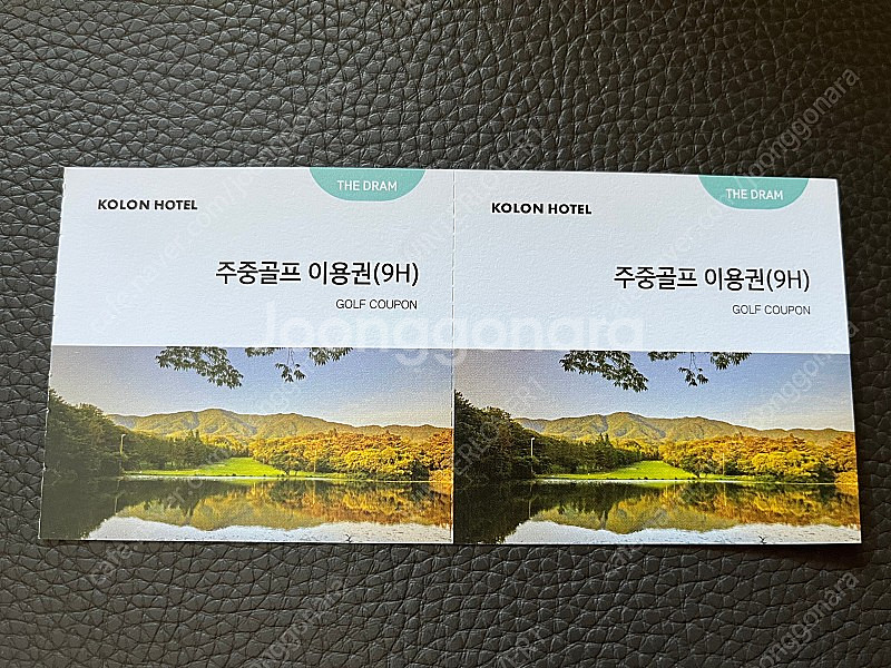 경주 코오롱호텔 가든 골프장 이용권--0