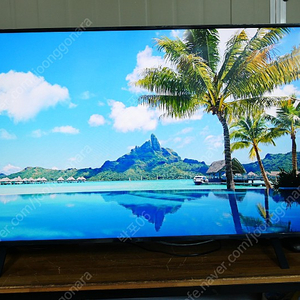 50인치 엘지티비 LG 50UQ8300ENF 스마트 TV