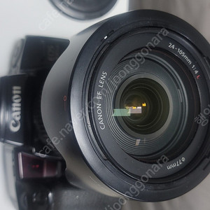 eos100qd 24-105 f4