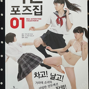 석가의 해부학 노트 등 일러스트 작법서팝니다