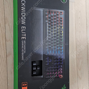 razer 블랙위도우 엘리트 오렌지축 / razer blackwidow elite orange switches