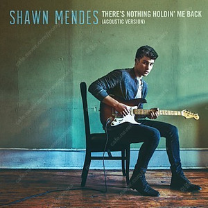 Shawn Mendes LP 1,2집 일괄판매