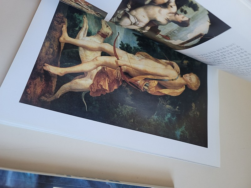 르누아르 루브르 도록--3