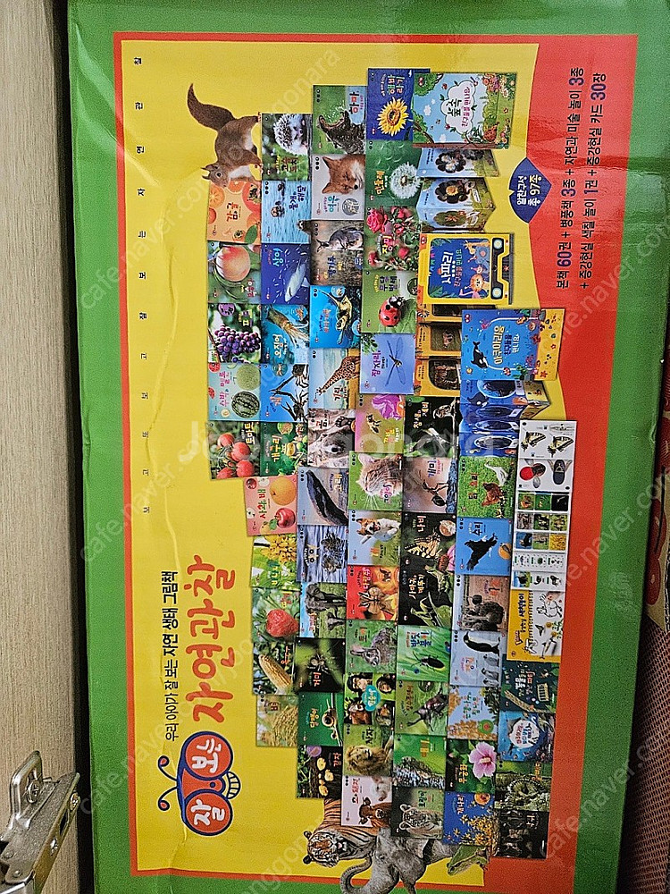 글뿌리 잘보는 자연관찰 전집--1
