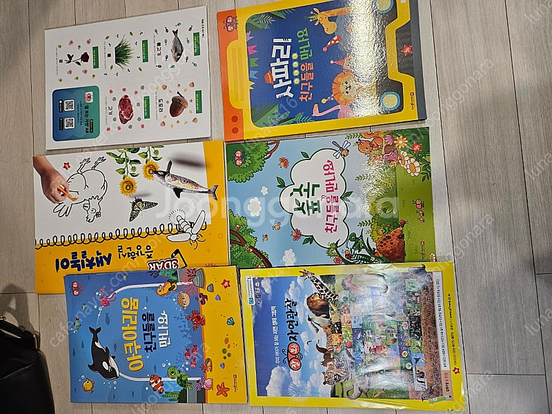 글뿌리 잘보는 자연관찰 전집--3