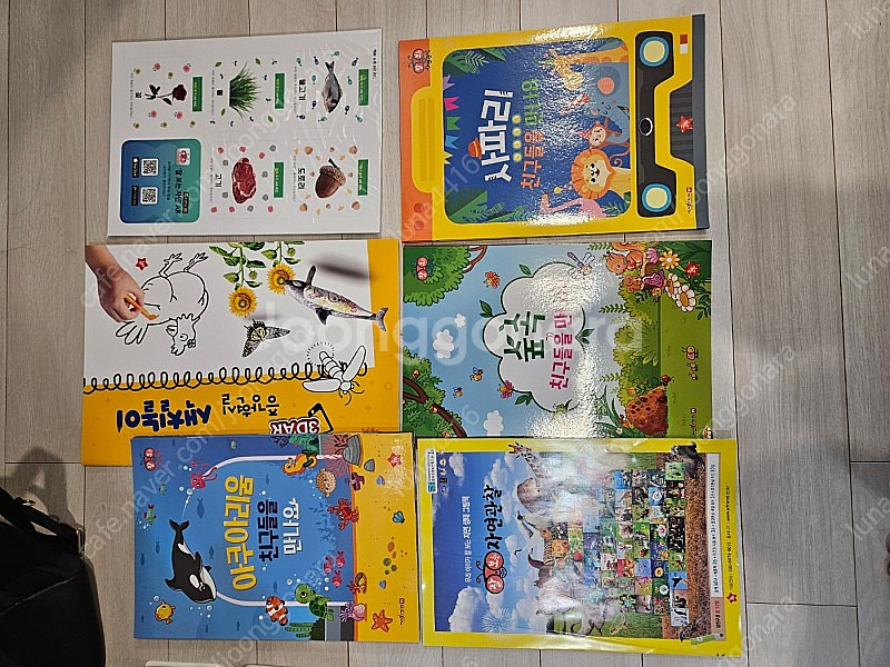 글뿌리 잘보는 자연관찰 전집--4