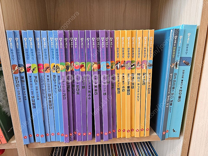 글뿌리 잘보는 자연관찰 전집--6