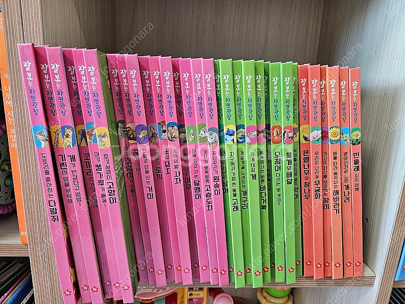 글뿌리 잘보는 자연관찰 전집--7