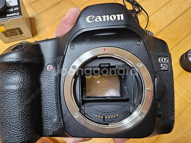 캐논 eos 5d +ef50.8 / 시그마 24.8 구...--4