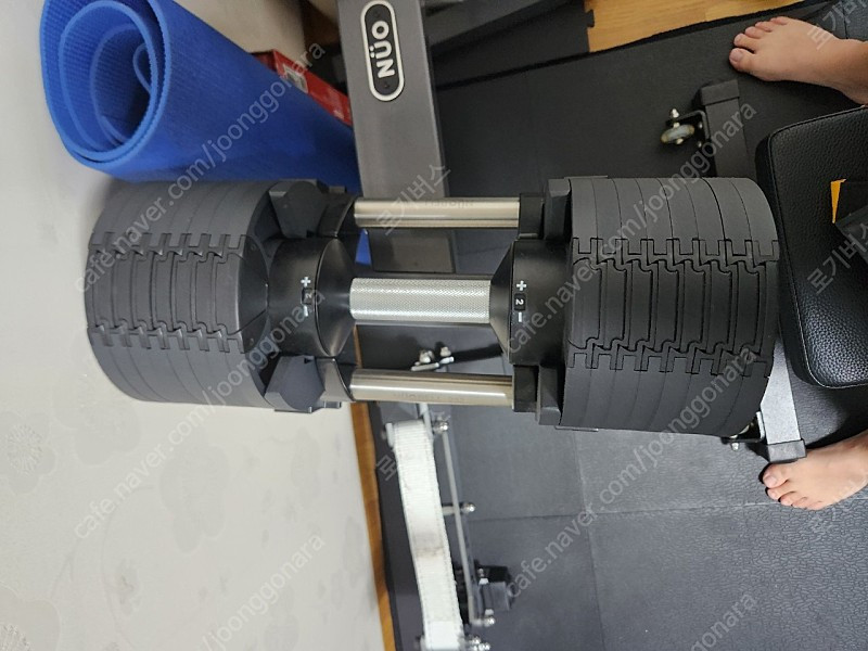 누오덤벨 팝니다 이미지