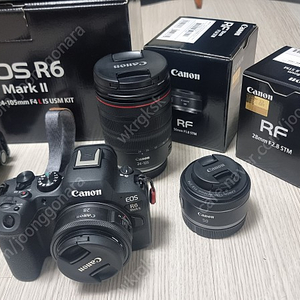 캐논 미러리스 R6Mark2 + rf24-105 4L, rf 50 1.8, rf28 2.8 캐논 슈팅그립