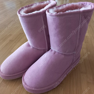 오지 ugg