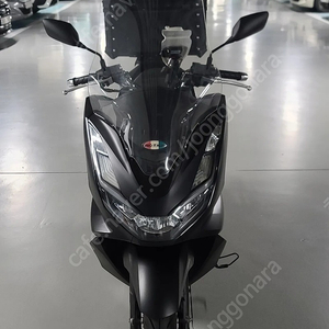 pcx125 abs 신차급