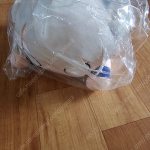 라디유 인형 굿즈 판매