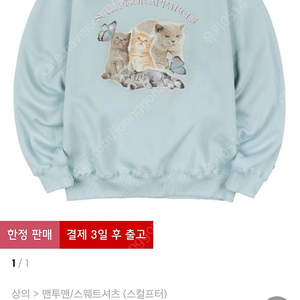 스컬프터 Sculptor 한정판매 맨투맨 민트 색상 Kitten Boxy Sweatshirt Mint