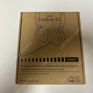 Jabra Evolve 65 헤드셋