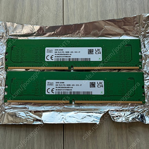 SK 하이닉스 DDR5-5600 8Gx2 시금치 A다이 언락