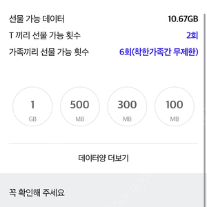 sk데이터 2기가