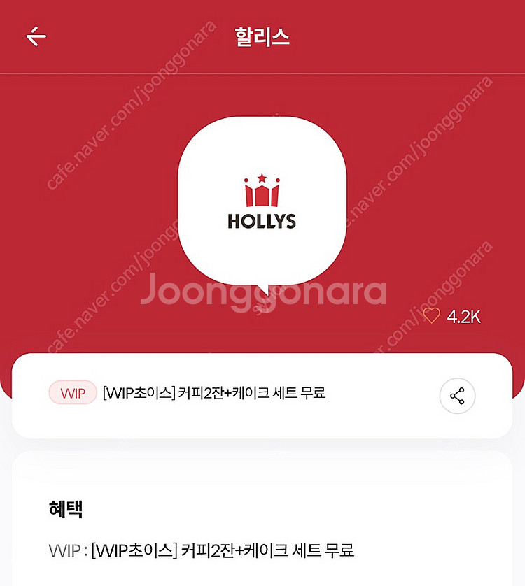 할리스 아메리카노2잔+ 케이크 세트--0
