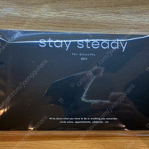 stay steady 스터디 플래너