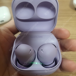 버즈2프로 라벤더 오른쪽,왼쪽,본체 각개 팝니다.