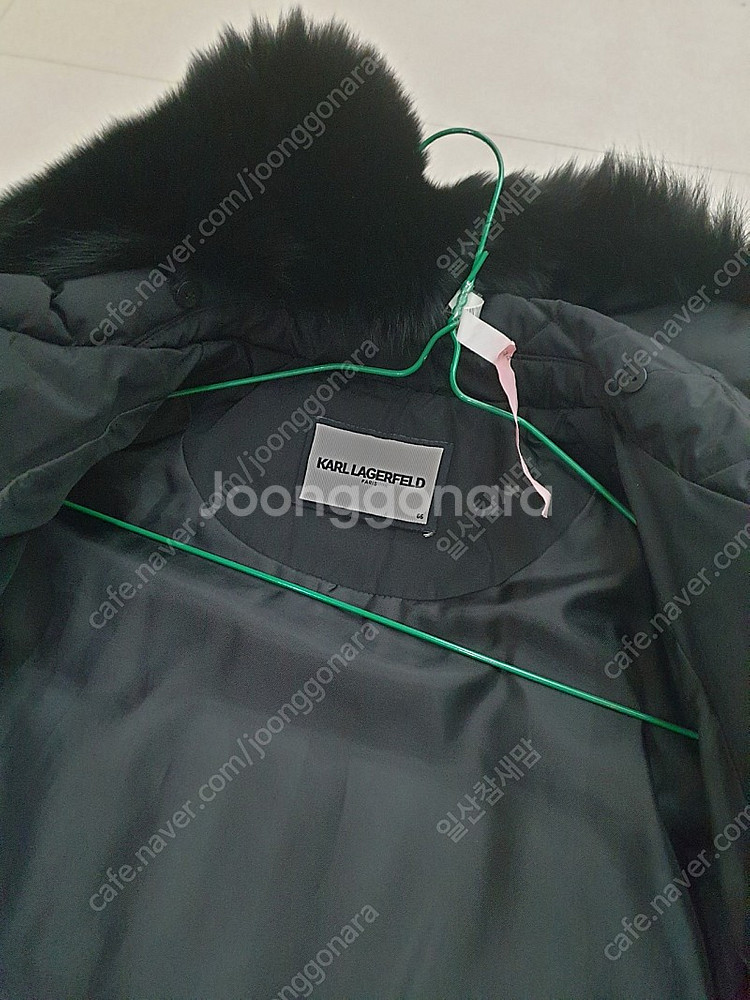 칼라거펠트--8