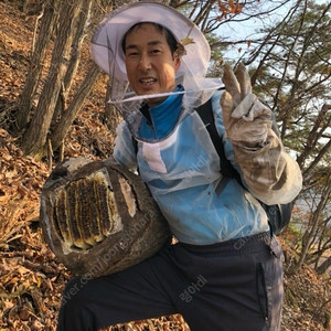 100프로 자연산 토종꿀 , 아닐경우 전액 환불보장!