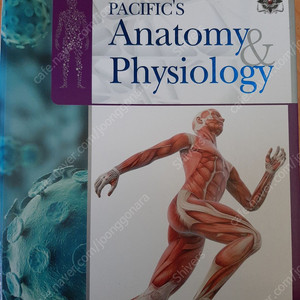 퍼시픽북스 해부생리학 Anatomy&Physiology 책 팝니다.