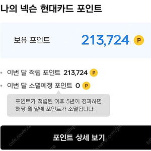 넥슨 213,000캐시 약89.2프로 190,000원 판매