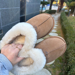 Ugg 어그 타제트