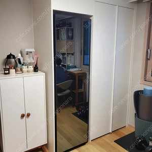 삼성 에어드레서 5구 미러