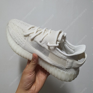 [319,000원] YEEZY 350 V2 BONE / 250