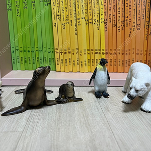 슐라이히외 동물
