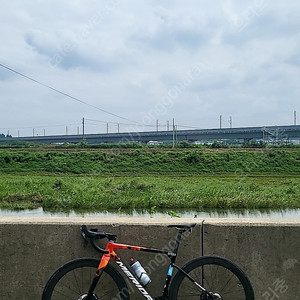 메리다 스컬트라 5000 + zipp303s 판매 합니다