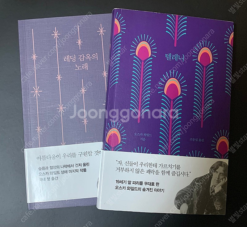오스카 와일드 책 16권 팝니다 문학 고전 명작--4