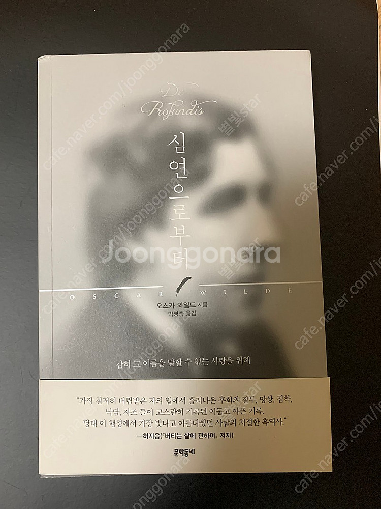 오스카 와일드 책 16권 팝니다 문학 고전 명작--5