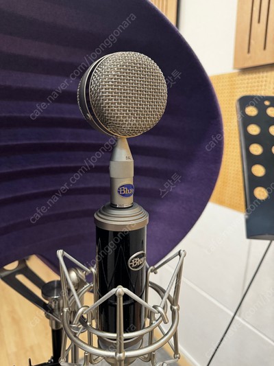 あの高級Blueマイクに新ラインナップ。2万円～の手ごろ価格で入手可能！