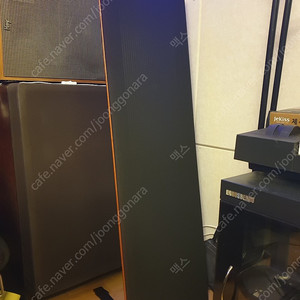 마그네판 LRS 스피커