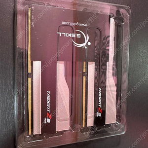 G.Skill 트라이던트 네오 Z5 RGB 2x32GB(DDR5 64GB 듀얼킷 6000-cl30) 택포 27