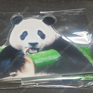 푸바오,책베개,아크릴스탠드,새제품