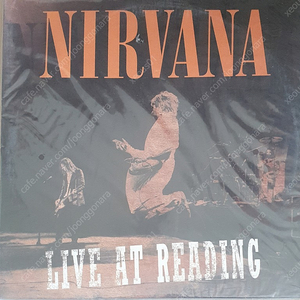 Nirvana - Live At Reading [2LP] 미개봉