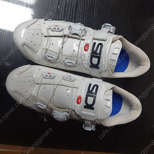 Sidi 카본 클릿슈즈 260사이즈