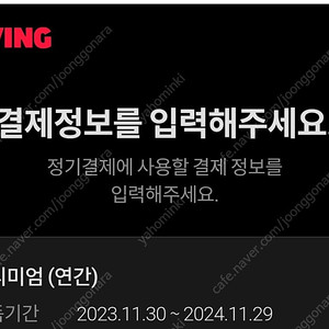 티빙 1년 28500원 같이 보실 분
