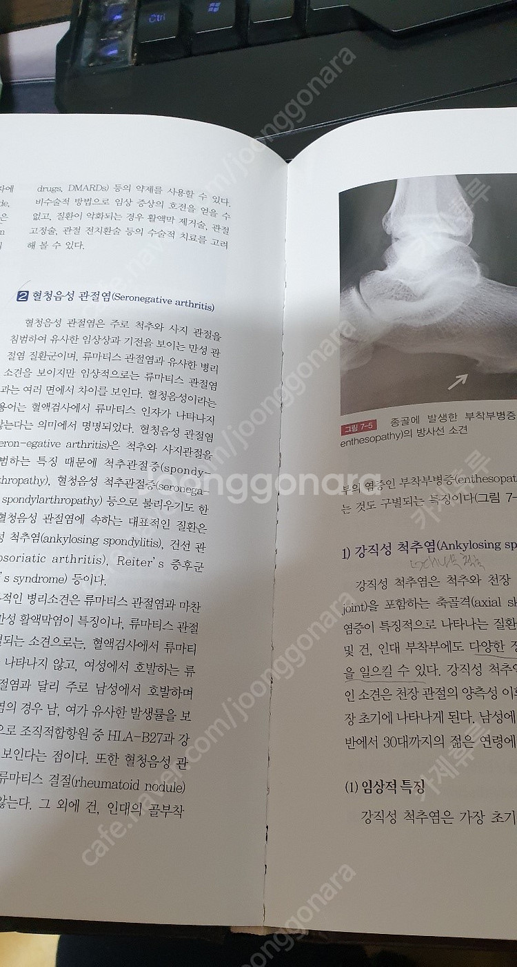 학생을 위한 정형의학 3판--1