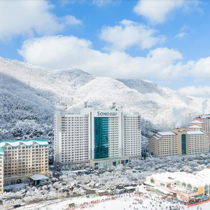 (스키장개장) 비발디파크 소노펠리체 올인크루시브 양도!